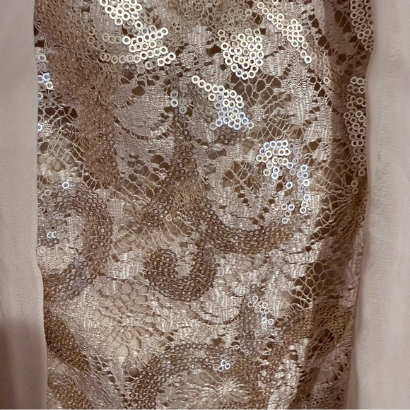 Alex Evenings Champagne Sequin Lace Chiffon Cape Sheath Dress size 6 - Picture 6 of 12